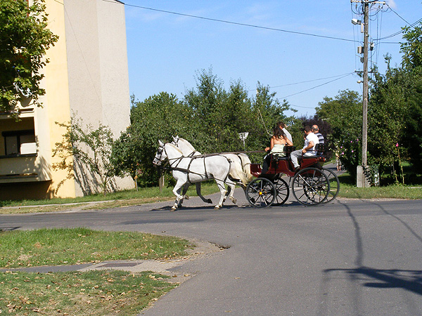 File:Nagyszénási utca lovaskocsival - panoramio.jpg