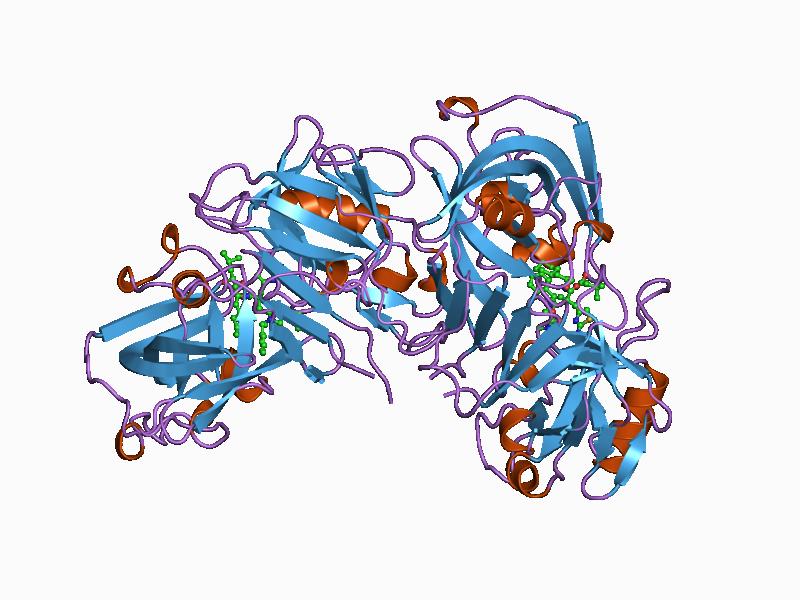 File:PDB 1bil EBI.jpg