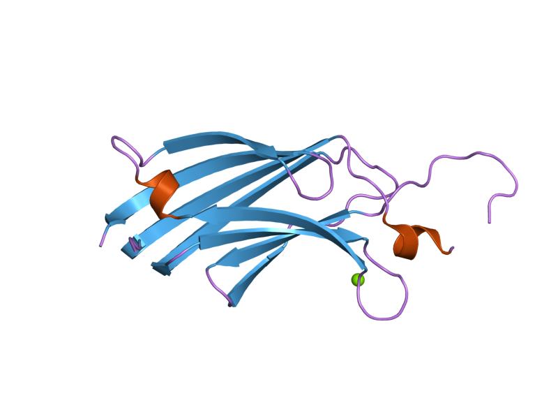 File:PDB 1gmi EBI.jpg