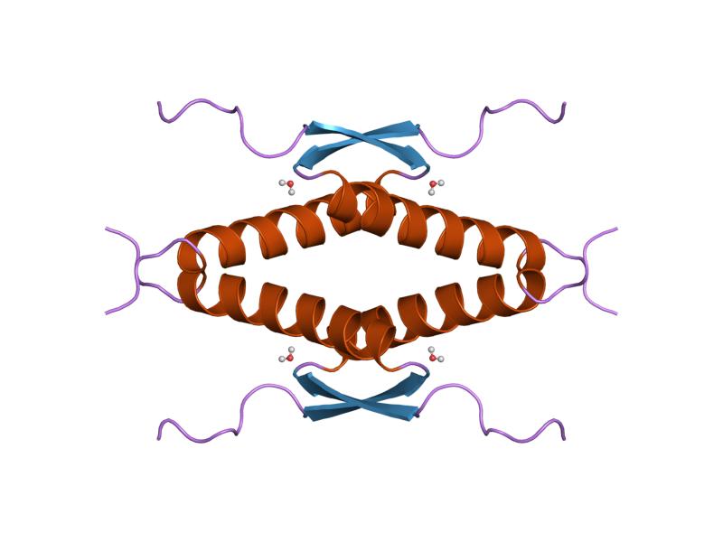 File:PDB 1sal EBI.jpg