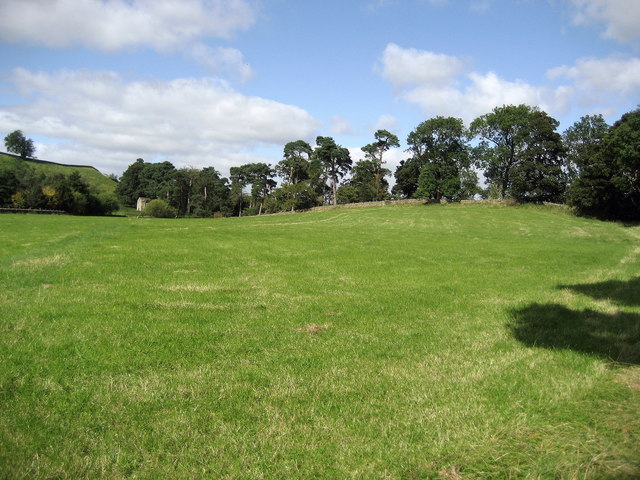 Pasture North of Woden Croft - geograph.org.uk - 1512357