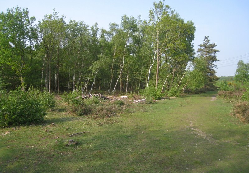 File:Path on Snelsmore Common - geograph.org.uk - 2376163.jpg