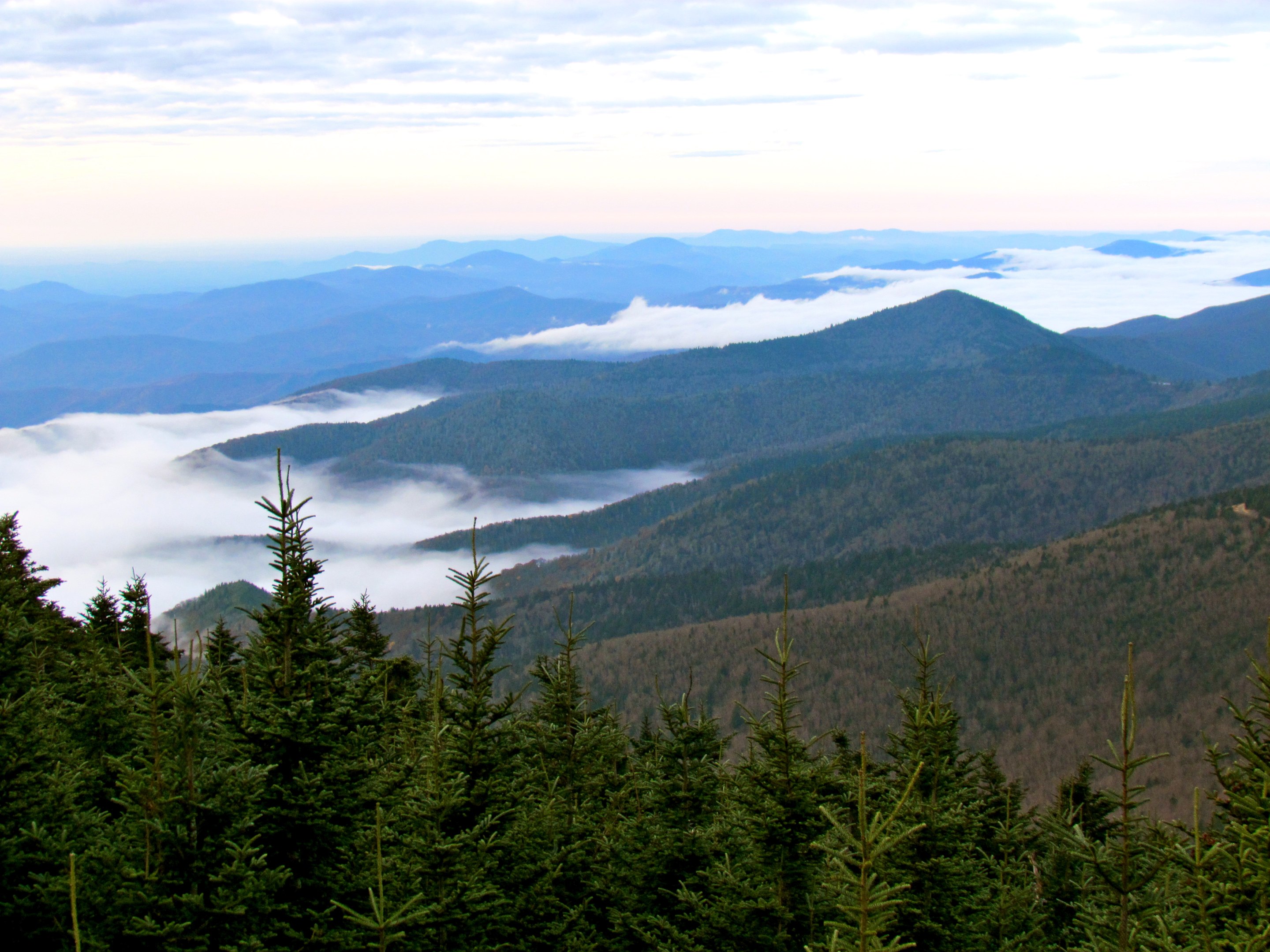 Pisgah National Forest