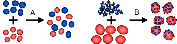 of compound mixture and examples a a Powder mixtures.jpg