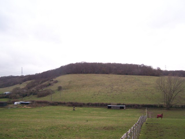 File:Purple Hill - geograph.org.uk - 1076647.jpg