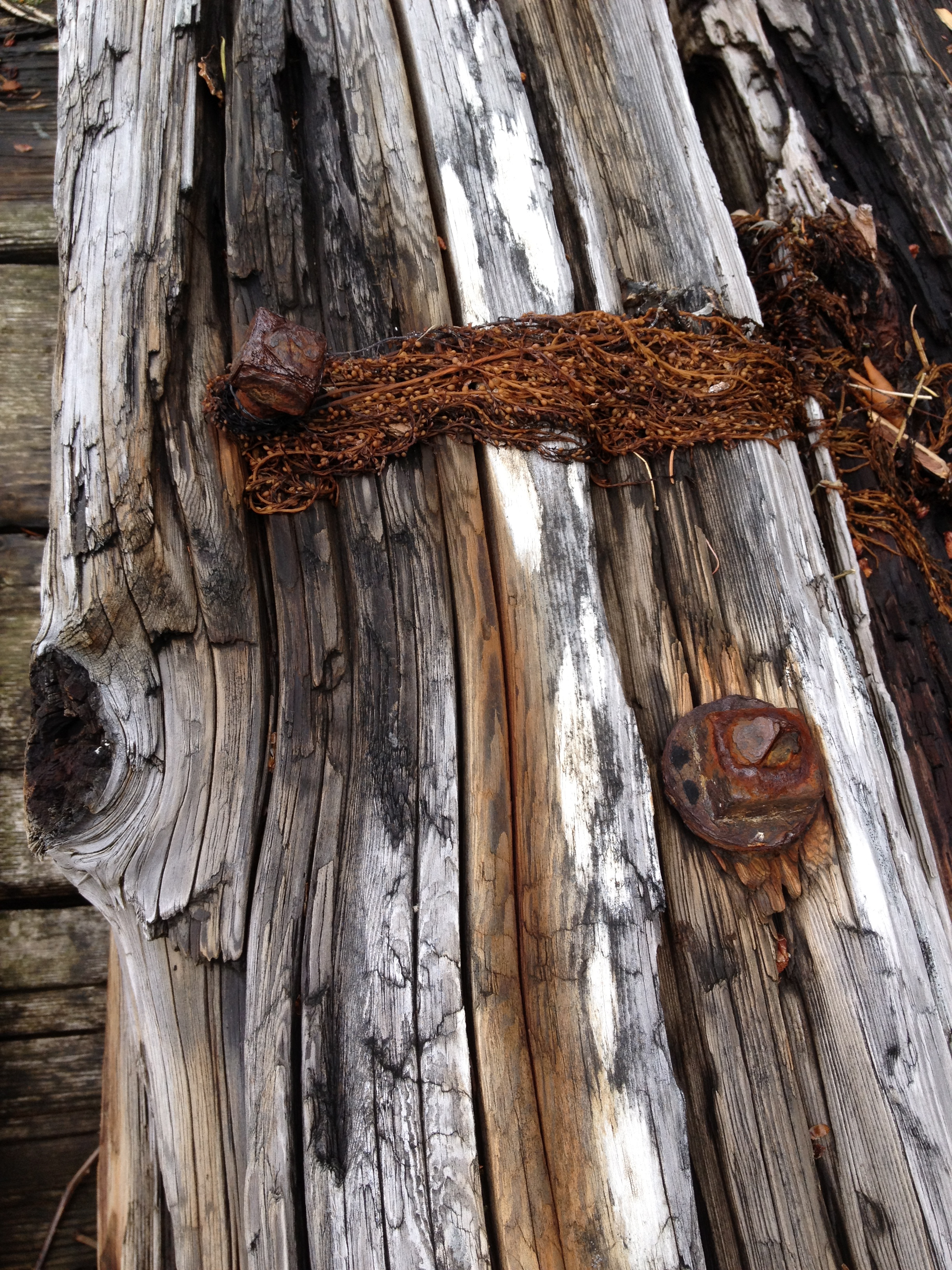 Rust on wood фото 11