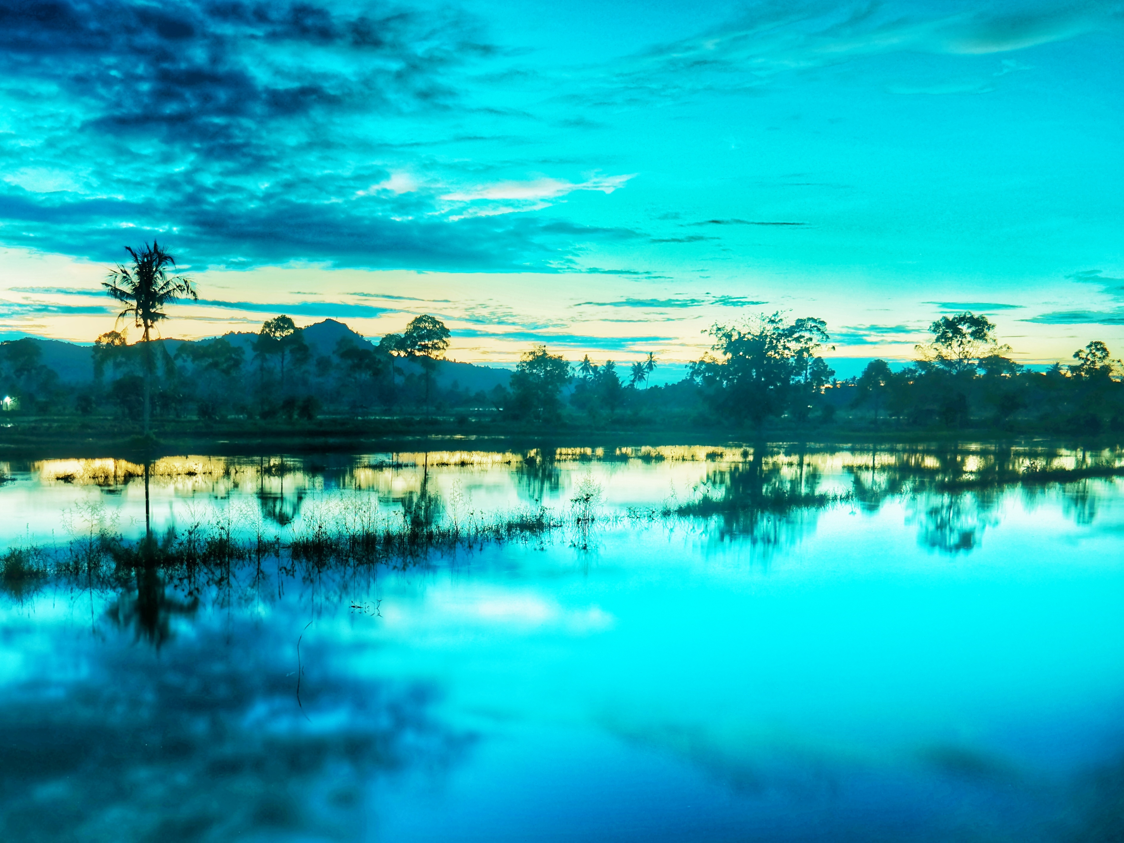 File Senja Di Sawah Kebanjiran Jpg Wikimedia Commons