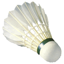 File:Shuttlecock.png