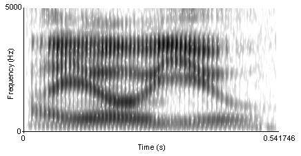 File:Spectrogram of I owe you.png