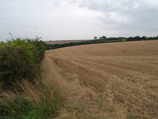 File:Stubble Field near Barton Hill Farm - geograph.org.uk - 1456999.jpg