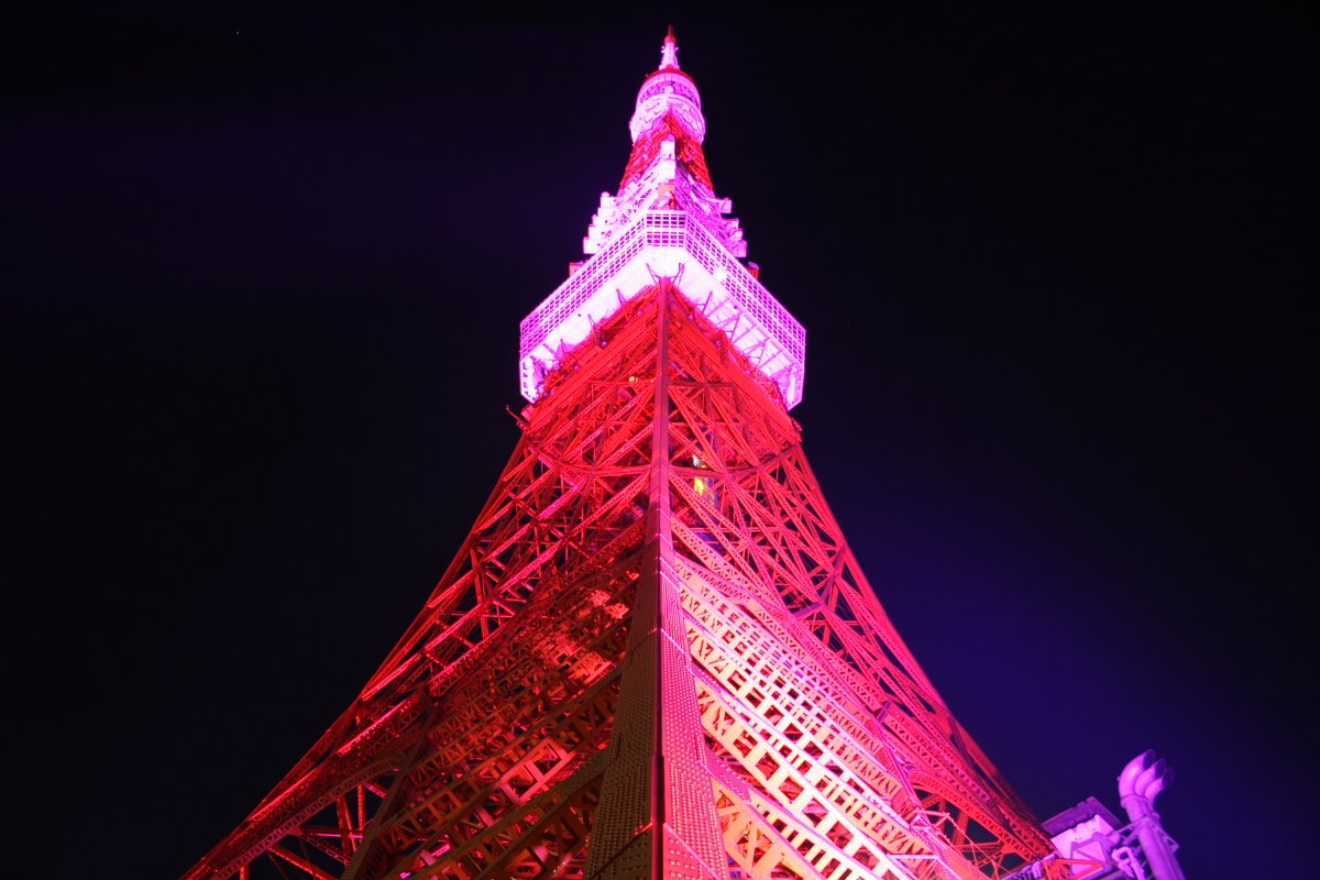 ファイル Tokyo Tower Pink Ribon Jpg Wikipedia
