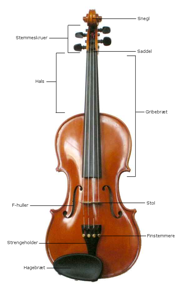 kant Spil prop Violin - Wikipedia, den frie encyklopædi