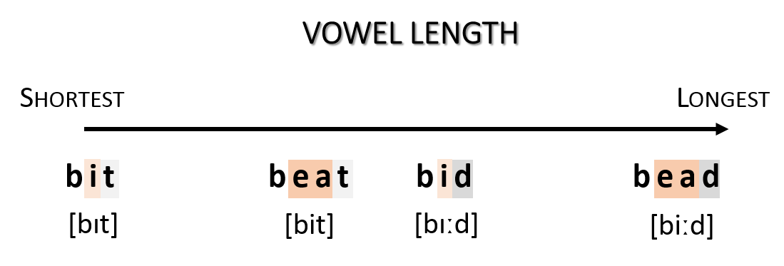 C file length. Vowel length. Vowel length in English. Positional length of Vowels. Positional length of Vowels examples.