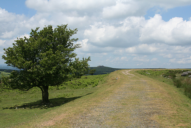 File:Walkhampton, by Ingra Tor - geograph.org.uk - 1355867.jpg