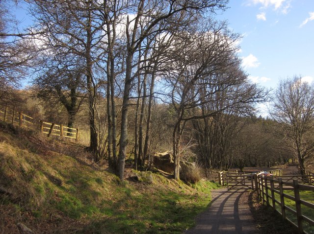 Wray Valley Trail near Budleigh Farm - geograph.org.uk - 3321362