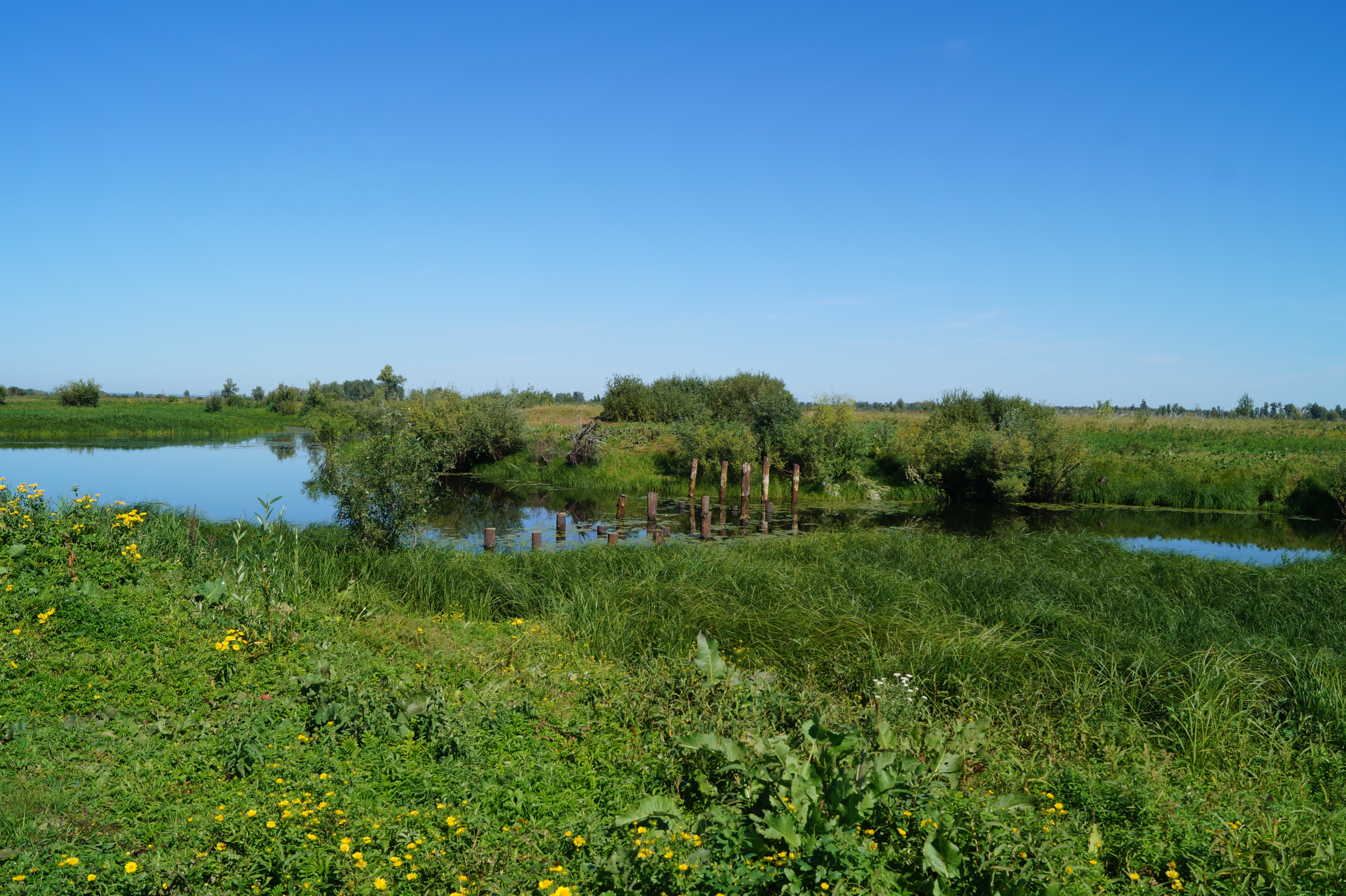 мебель в михайловском алтайского края