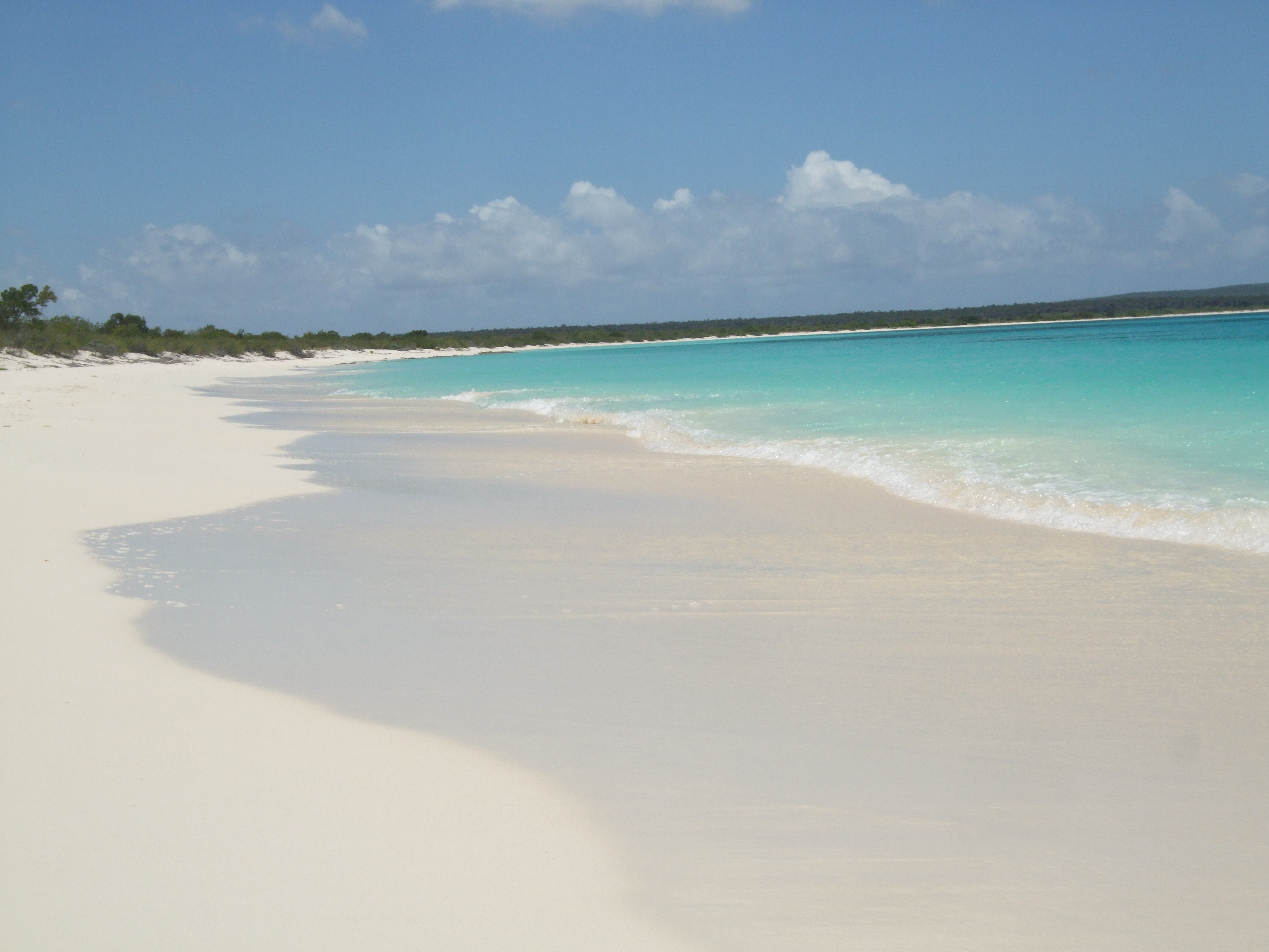 Journey to the Pristine Beach