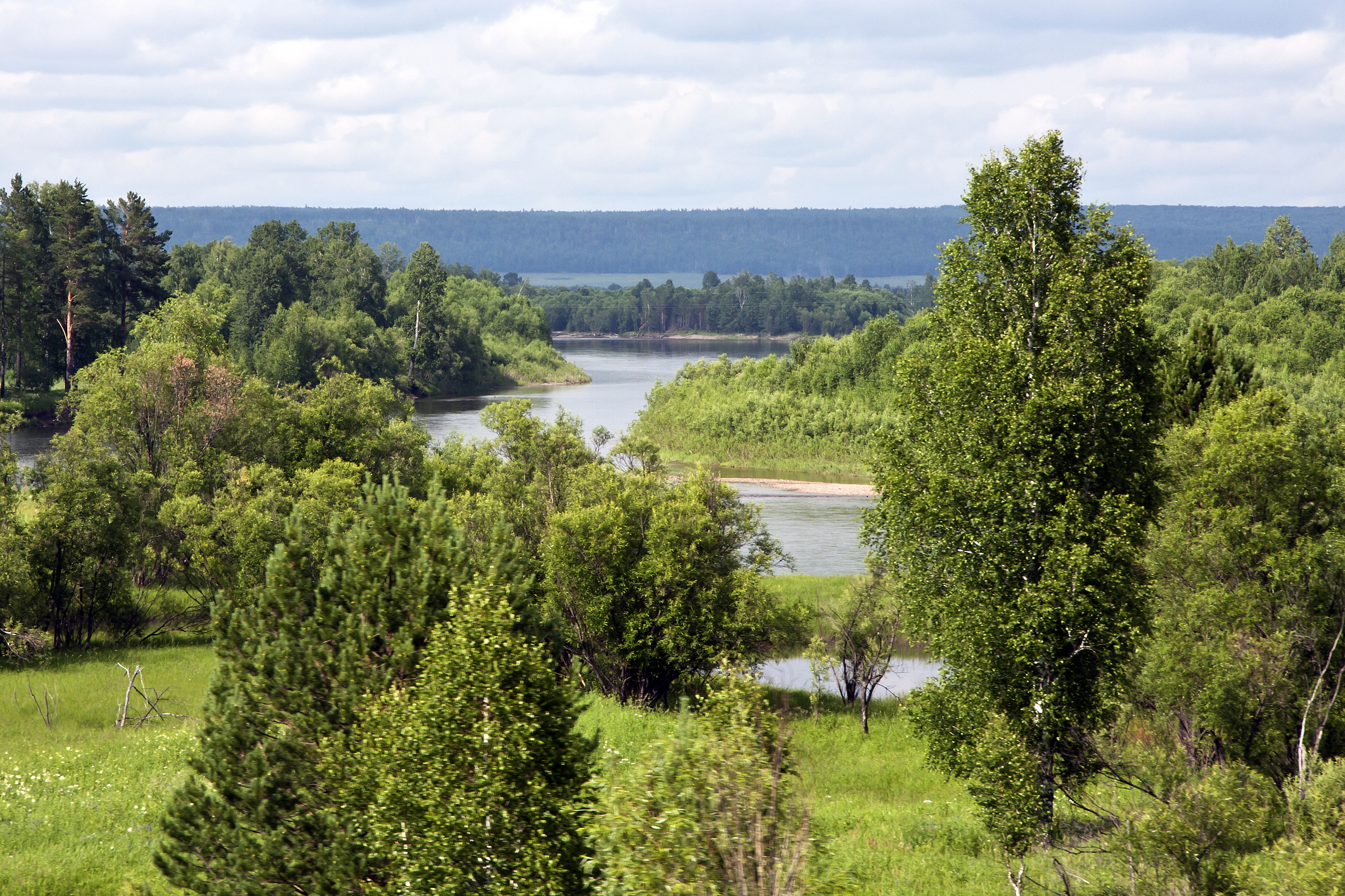 Бирюса (река) — Википедия