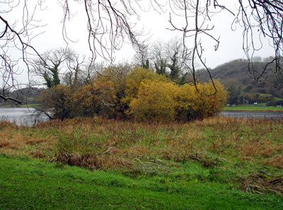 Bolin Island on Lough Gur - geograph.org.uk - 439658