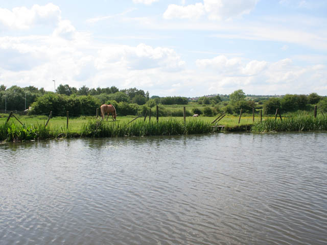 File:Canal side meadow - geograph.org.uk - 834254.jpg