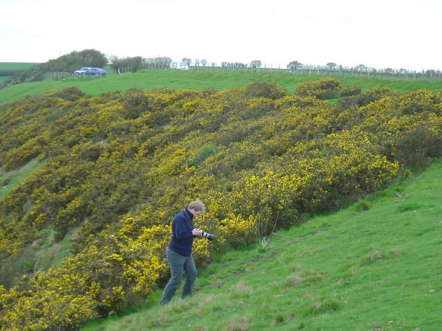 Cheriton Hill - geograph.org.uk - 161059