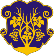 File:Coat of arms of Uzhgorod.png