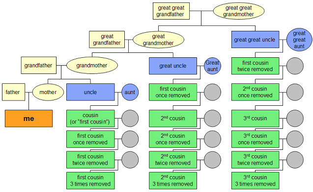 File:Cousin tree.png