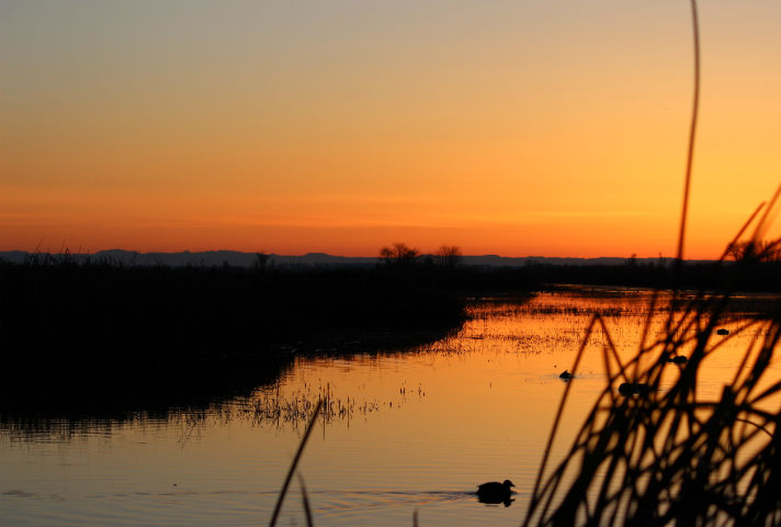 File:Delevan national wildlife refuge sunrise.jpg