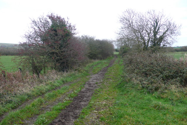 File:Disused railway track embankment - geograph.org.uk - 619449.jpg