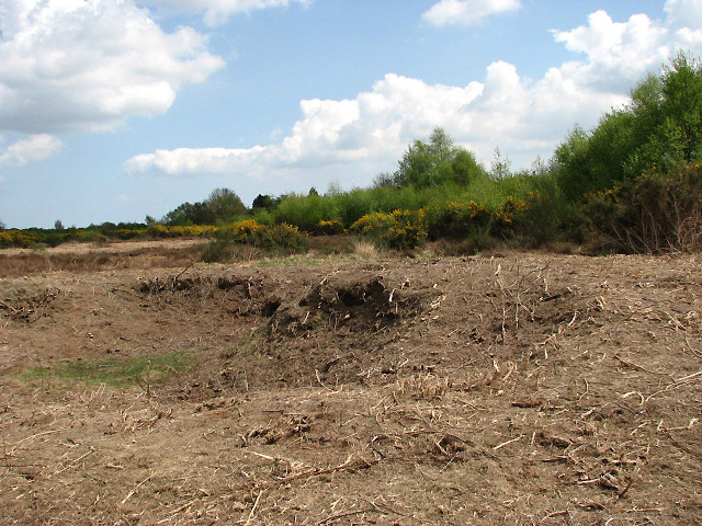 File:East Ruston Allotment - geograph.org.uk - 785909.jpg