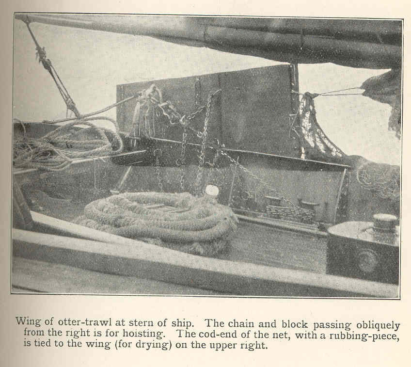 File:FMIB 36659 Wing of otter-trawl at stern of ship The chain and block  passing obliquely from the right is for hoisting The cod-end of the  net.jpeg - Wikimedia Commons