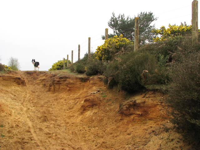 Following the fence - geograph.org.uk - 1249426