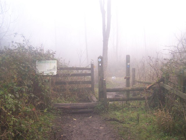 File:Footpath becomes Bridleway - geograph.org.uk - 1088772.jpg