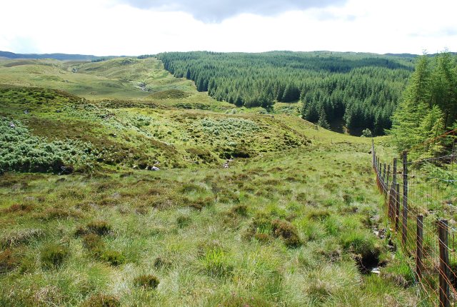 File:Forest boundary - geograph.org.uk - 495396.jpg