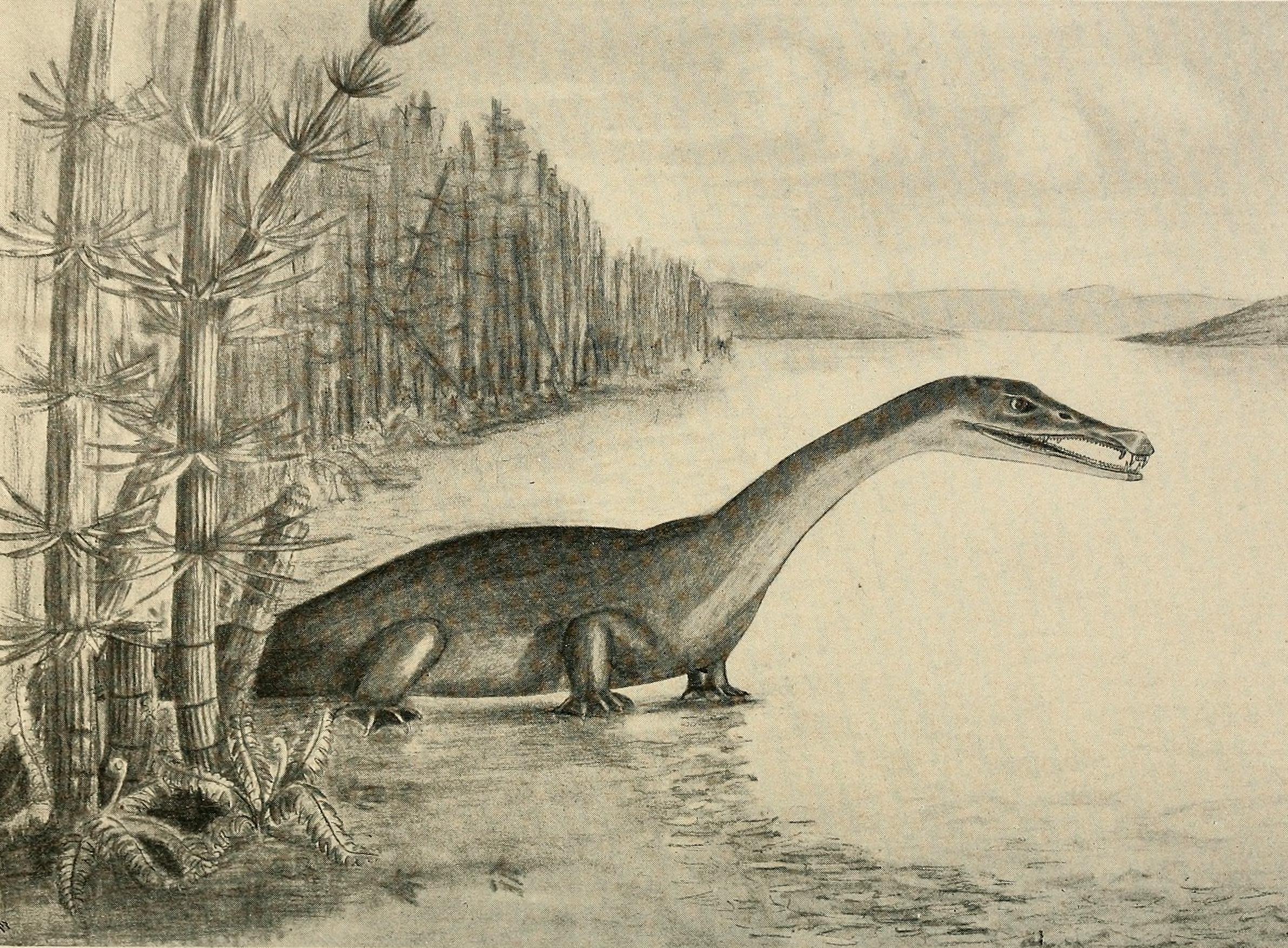Image_from_page_107_of_%22Water_reptiles_of_the_past_and_present%22_%281914%29_%2814586299810%29.jpg