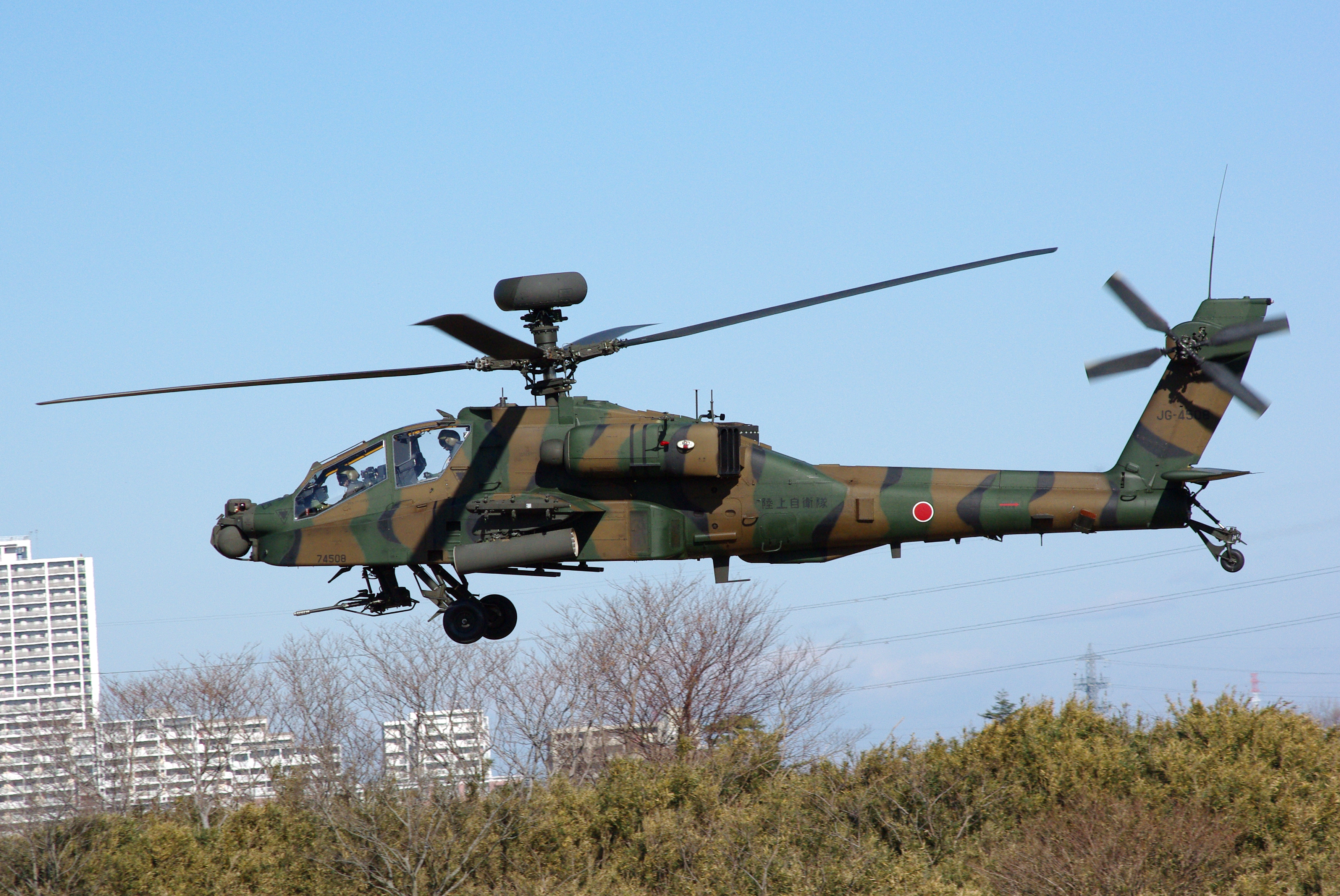 JGSDF_AH-64D_20120108-01.JPG