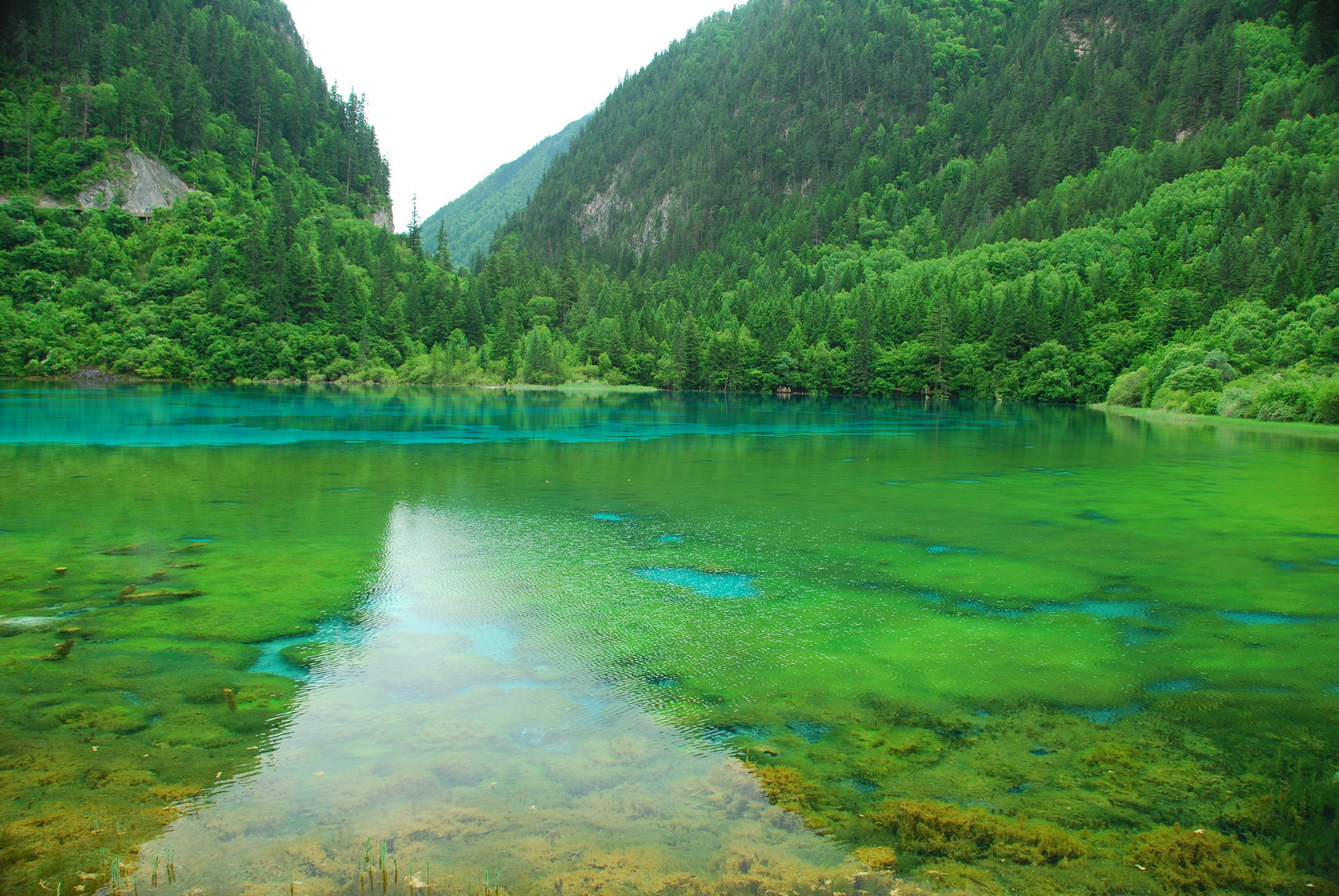 Сычуань. Сычуань провинция летом. Сычуань фото. ABA Sichuan.