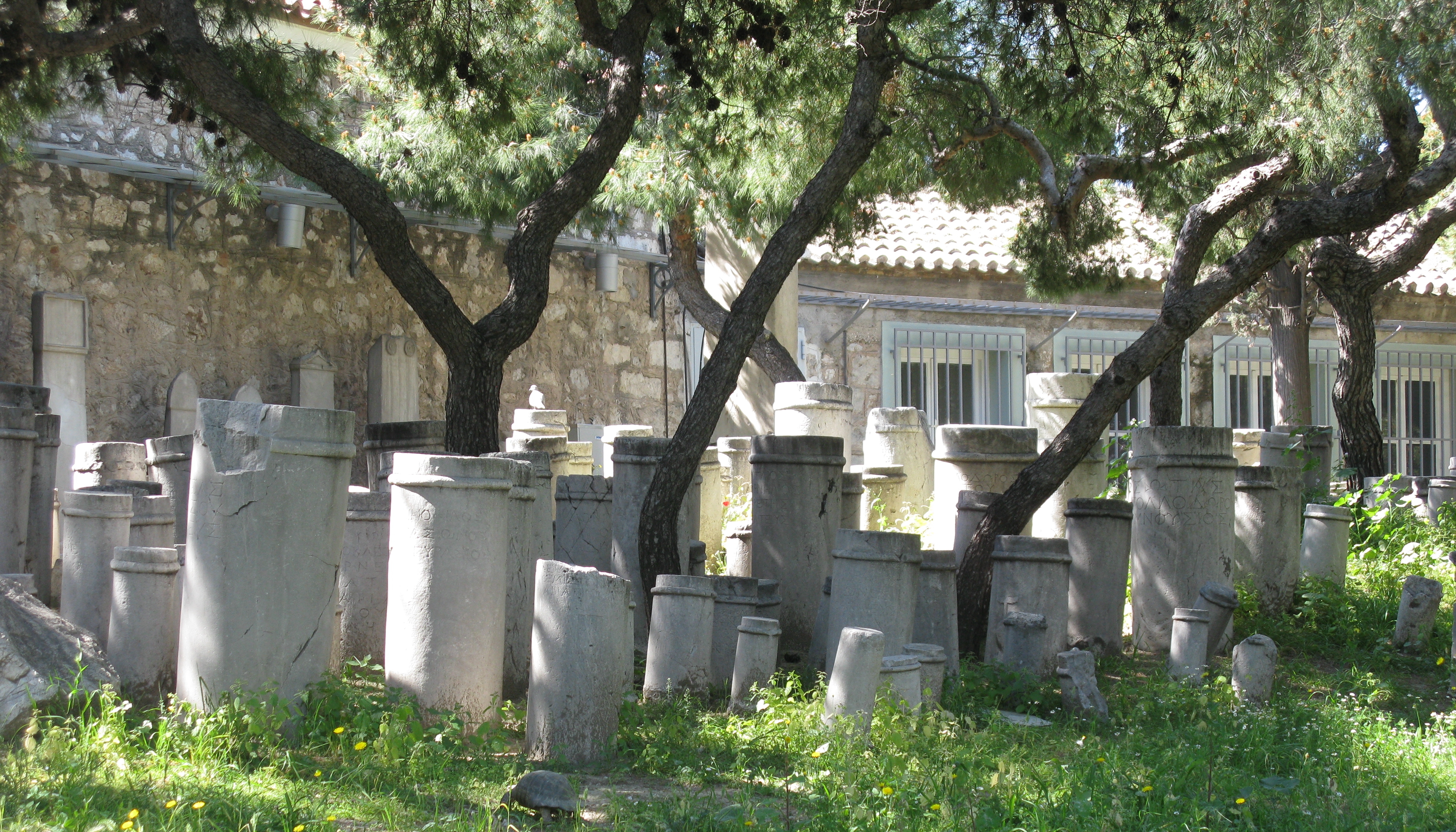 Image result for THE ANCIENT GRAVEYARD