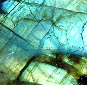 The iridescent flashes (labradorescence) of labradorite may lead to its confusion with ammolite by the unfamiliar, but the overall appearance is unconvincing as an imitation. Labradorite detail.jpg