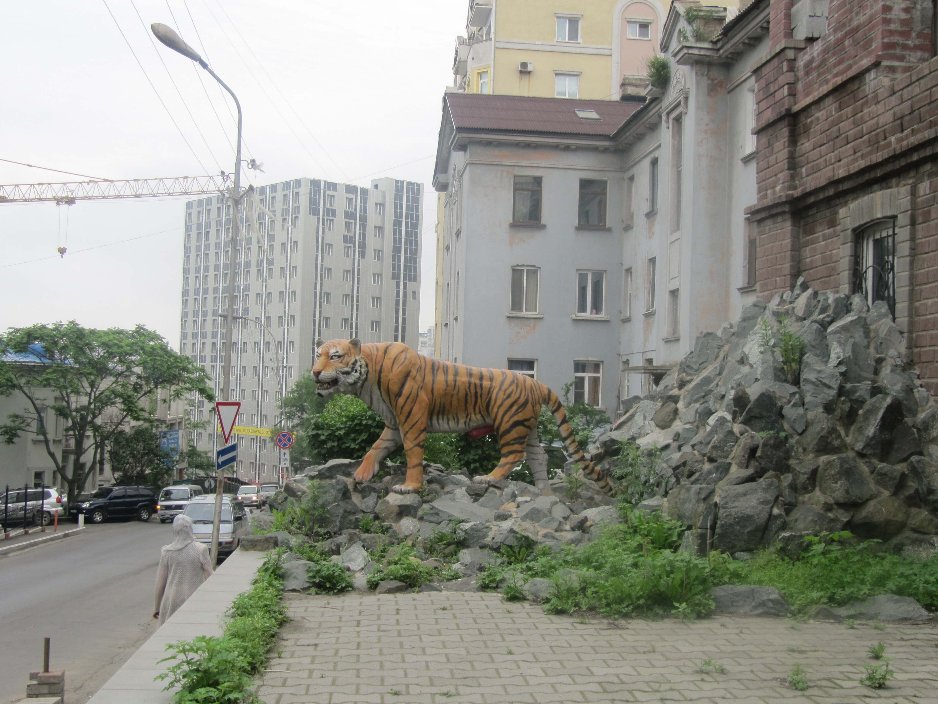 Улица тигровая владивосток фото