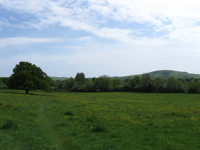 File:Meadow near Washbrooks Farm - geograph.org.uk - 1298555.jpg