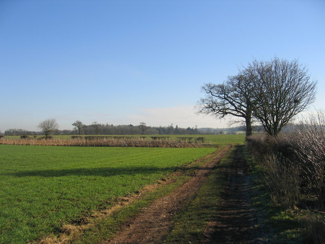 File:Meer Hill - geograph.org.uk - 120943.jpg