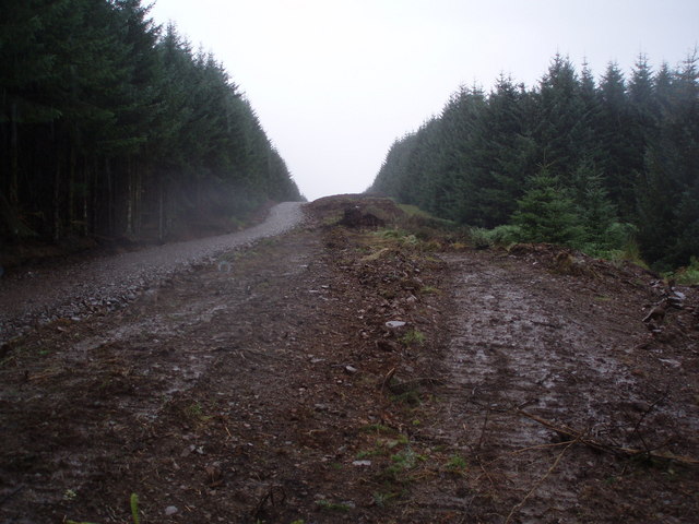 File:New Track - geograph.org.uk - 244841.jpg