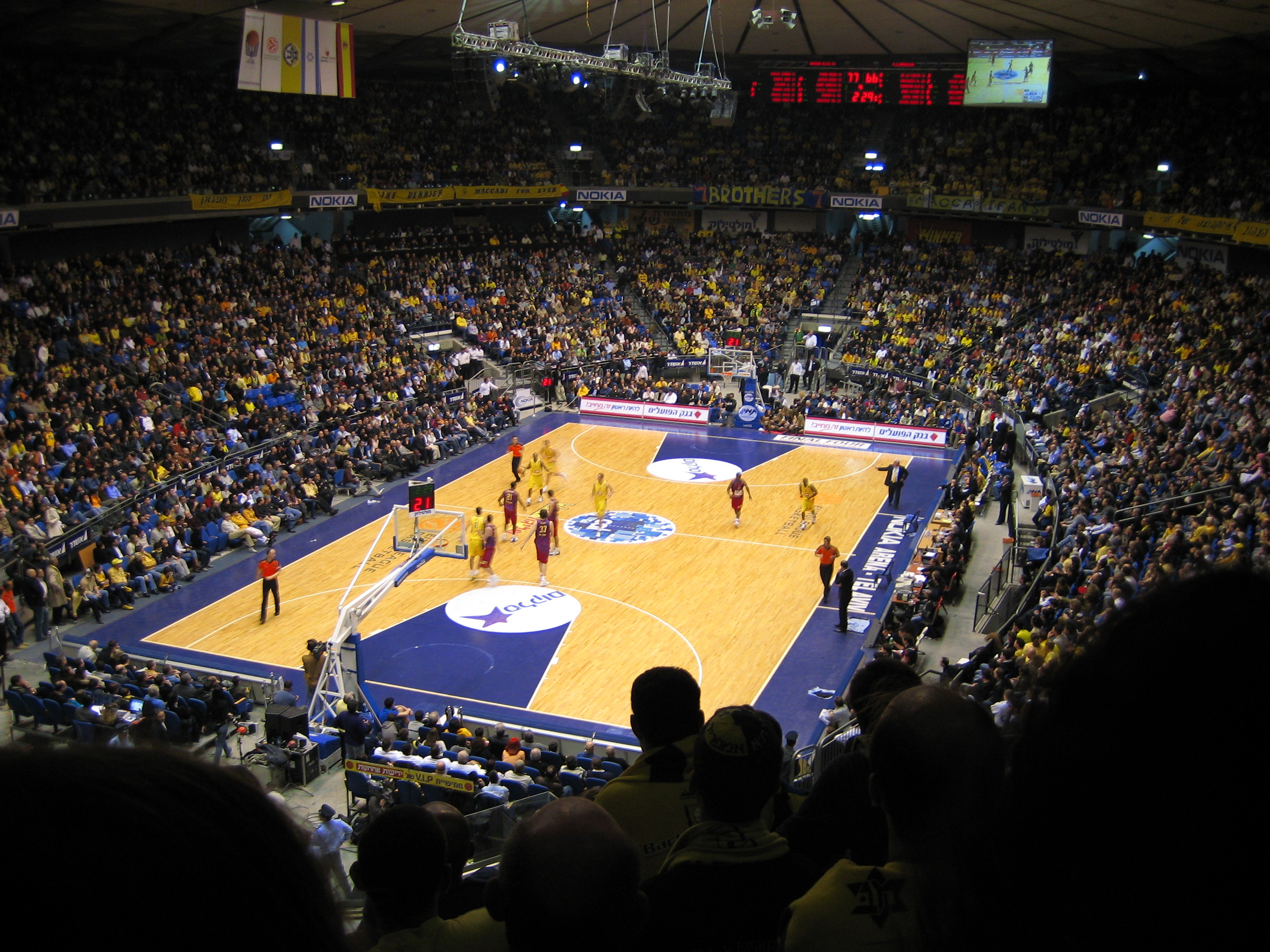 Maccabi Tel Aviv (Basketball) – Wikipedia