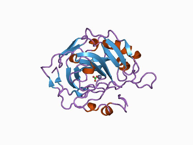 File:PDB 1cam EBI.jpg