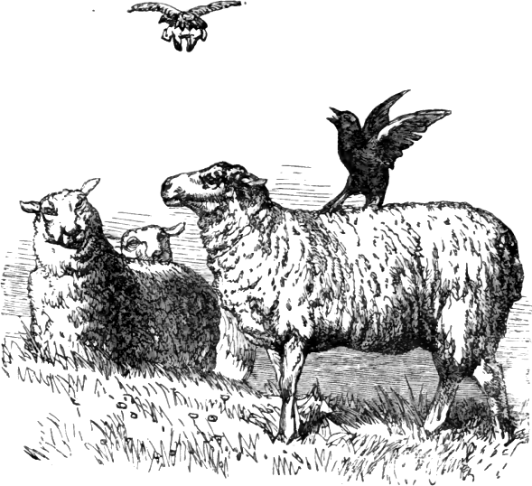 File:Page 163 illustration to Three hundred Aesop's fables (Townshend).png