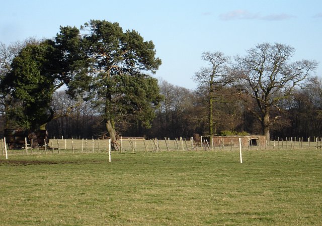 File:Pillbox east of Binbury Lane - geograph.org.uk - 133550.jpg