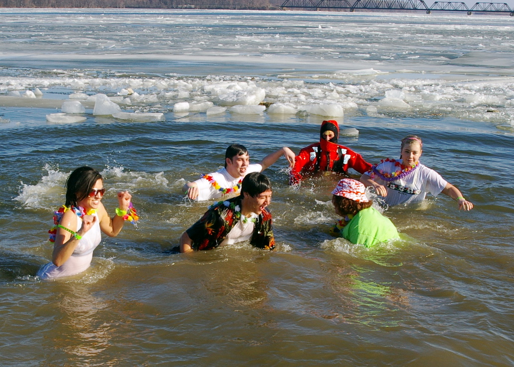 images of polar bears swimming