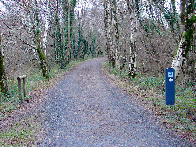 File:RSPB site at Arthog Bog - geograph.org.uk - 1103569.jpg