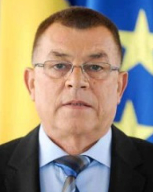 File:Radu Stroe (cropped).jpg